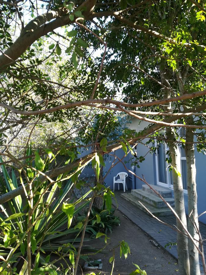 פורט אליזבת' Garden Gate Guest House מראה חיצוני תמונה